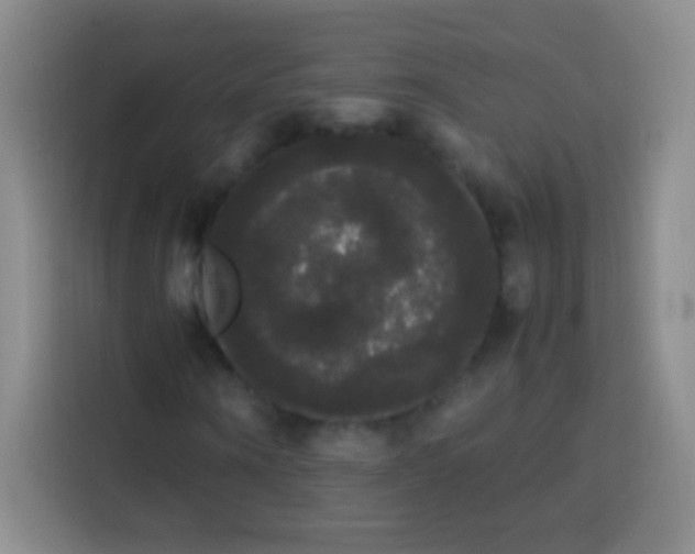 X0000113850866200910010959