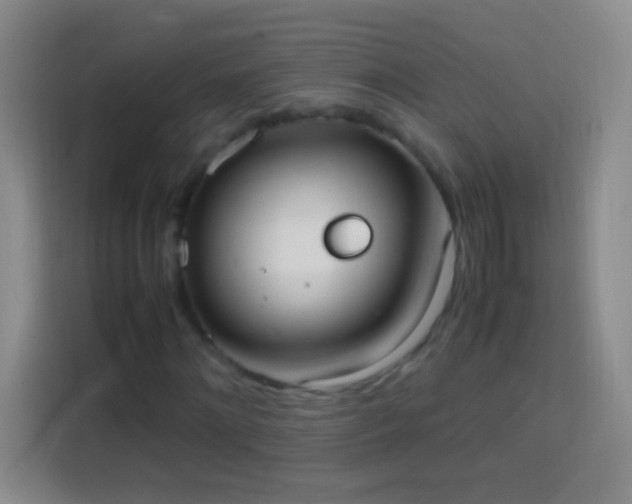 X0000113850868200910010959