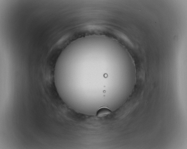 X0000113850869200910010959