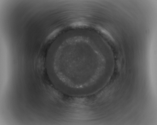 X0000113850870200910010959