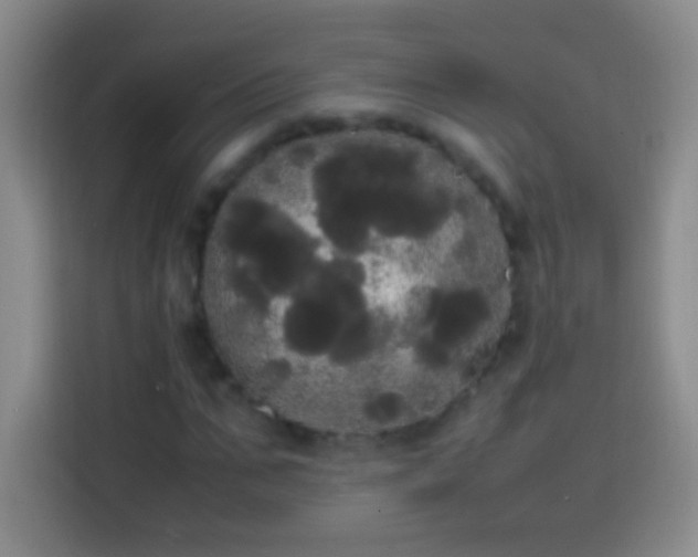 X0000113850871200910010959