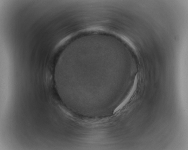 X0000113850872200910010959