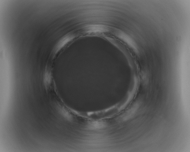 X0000113850874200910010959