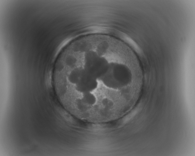 X0000113850875200910010959