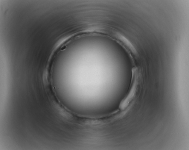 X0000113850876200910010959