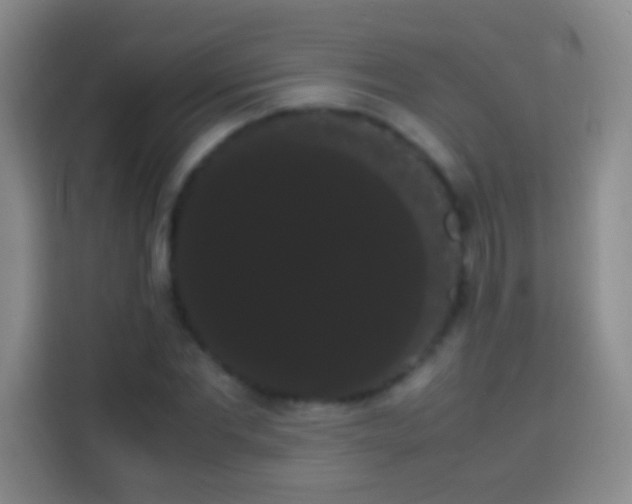 X0000113850877200910010959