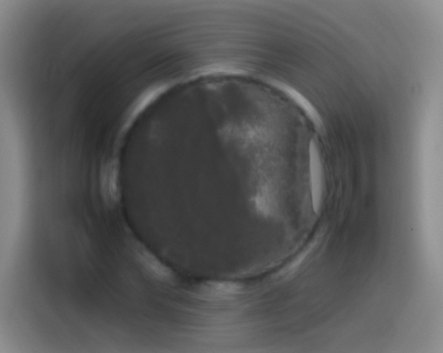 X0000113850878200910010958