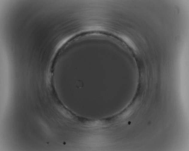 X0000113850879200910010958