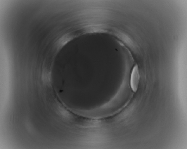 X0000113850881200910010958