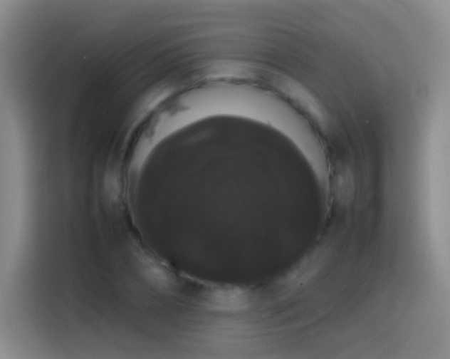 X0000113850882200910010958