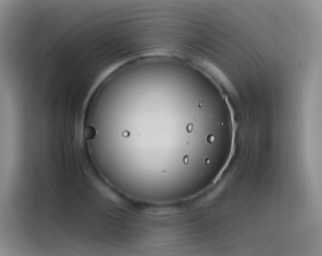 X0000113850884200910010958