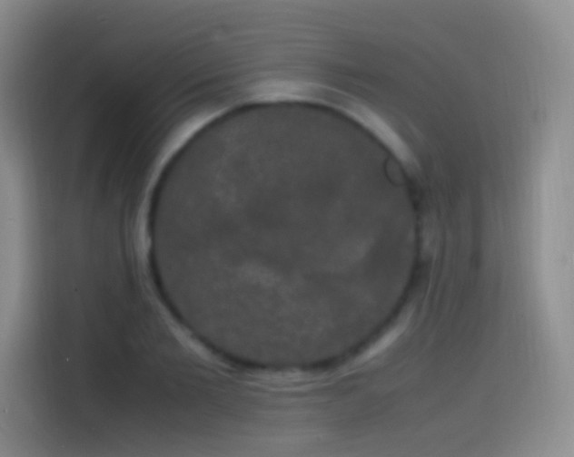 X0000113850885200910010958