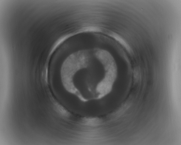 X0000113850886200910010958