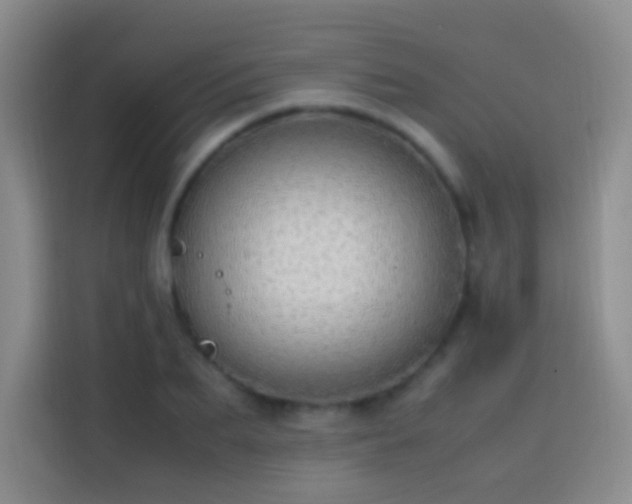 X0000113850887200910010958