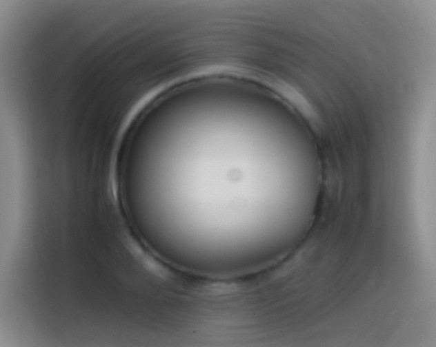 X0000113850888200910010958