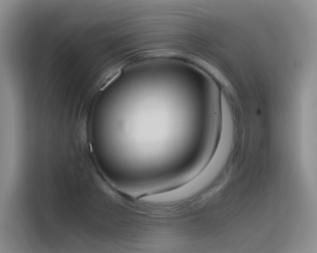 X0000113850889200910010958