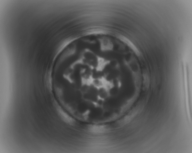 X0000113850890200910010958