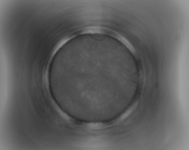 X0000113850893200910010958