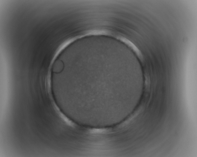 X0000113850894200910010958