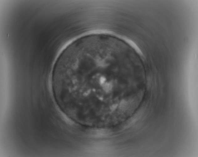 X0000113850895200910010958