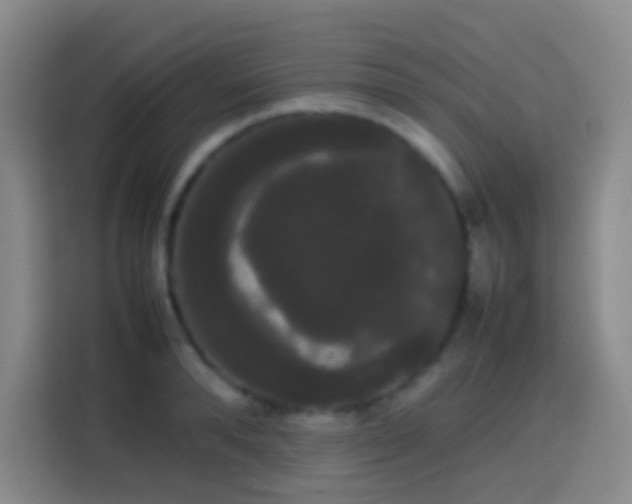 X0000113850896200910010958