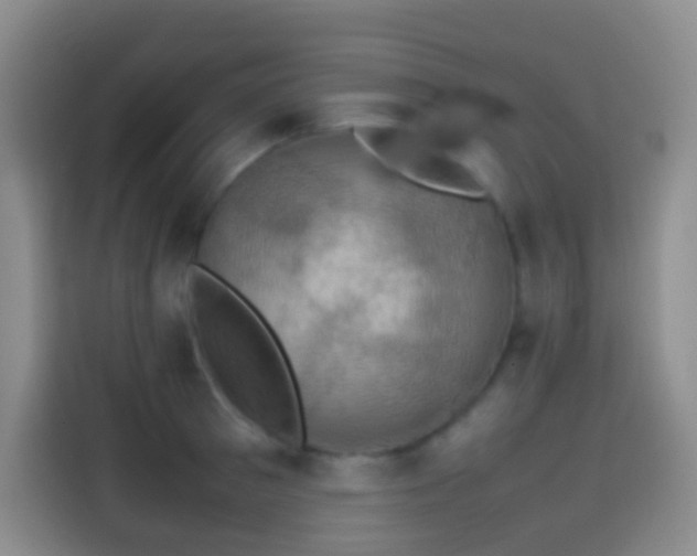 X0000113850897200910010958