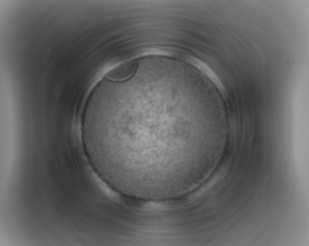 X0000113850898200910010958