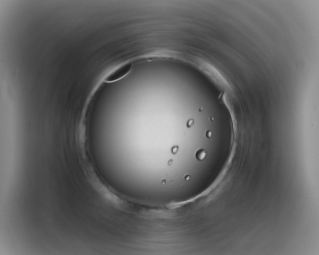 X0000113850900200910010958