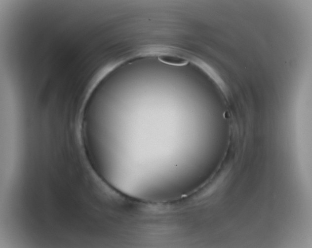 X0000113850901200910010958