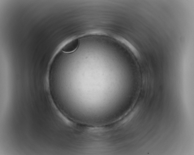 X0000113850902200910010958