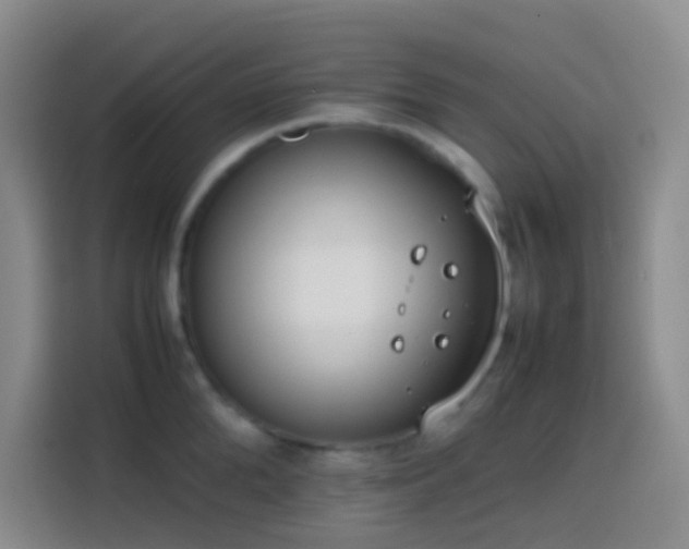 X0000113850904200910010958