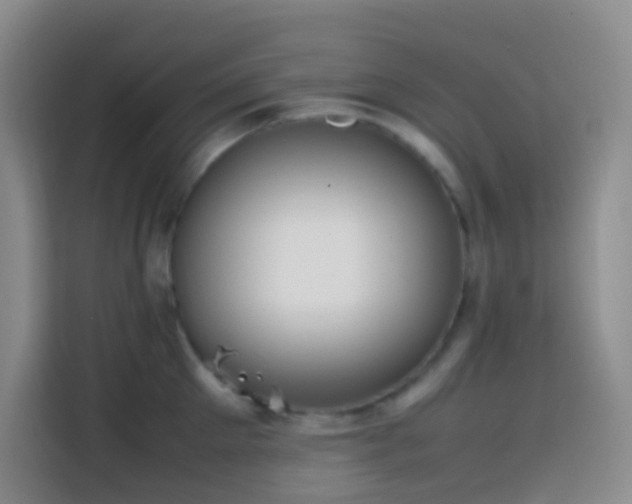 X0000113850905200910010958