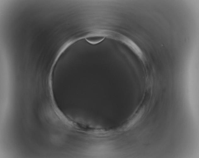 X0000113850907200910010958