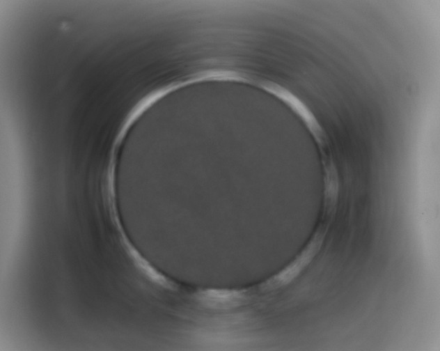 X0000113850910200910010958