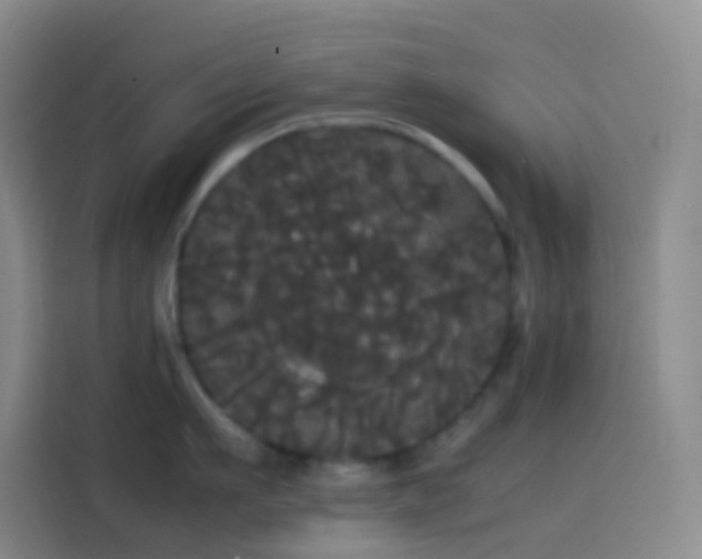 X0000113850911200910010958