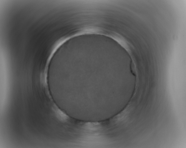 X0000113850912200910010958