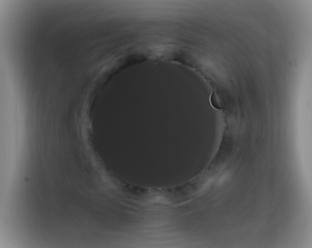 X0000113850913200910010957