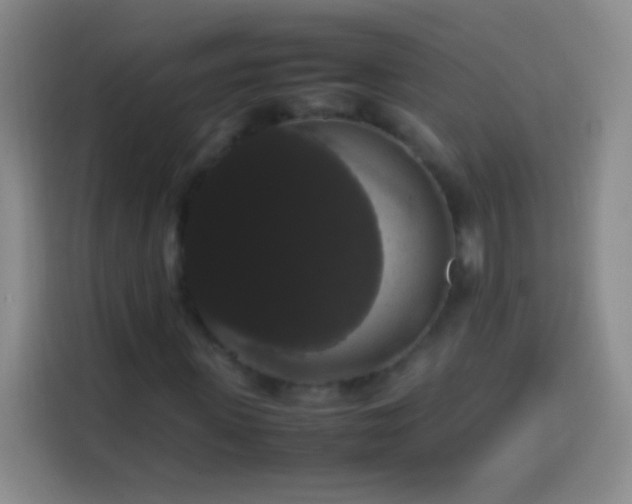 X0000113850915200910010957