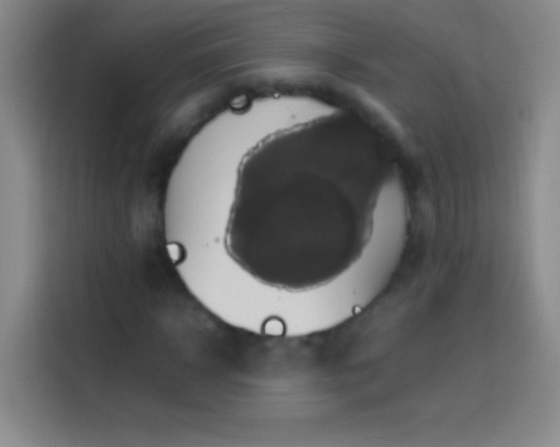 X0000113850918200910010957