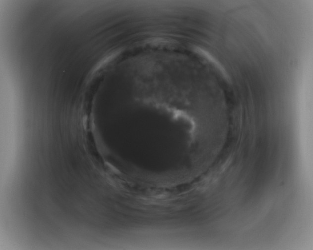 X0000113850919200910010958