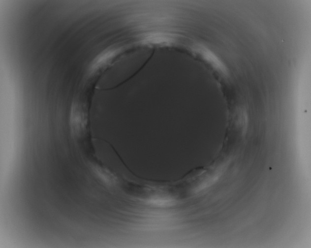 X0000113850920200910010958