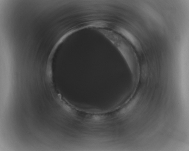 X0000113850923200910010958