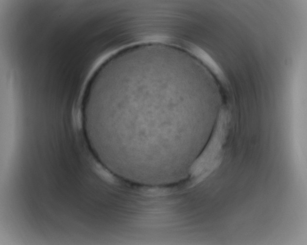 X0000113850924200910010958