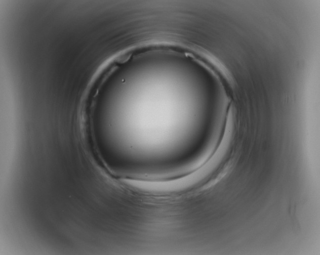 X0000113850926200910010958