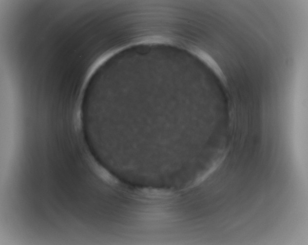 X0000113850928200910010958