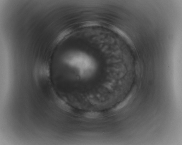 X0000113850929200910010958