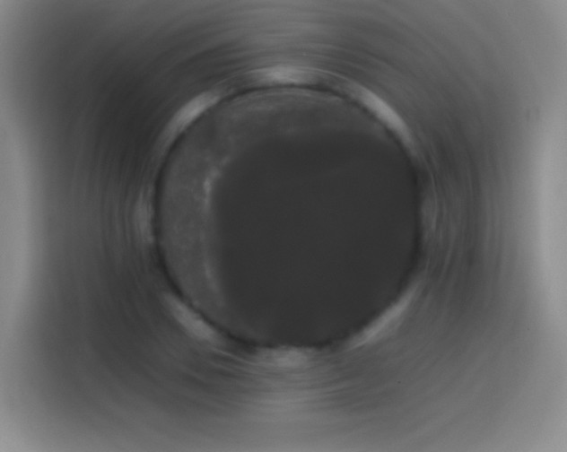 X0000113850930200910010958