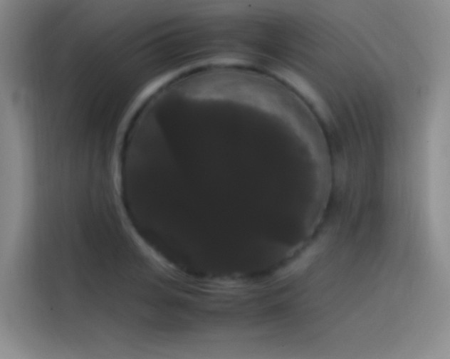 X0000113850935200910010958