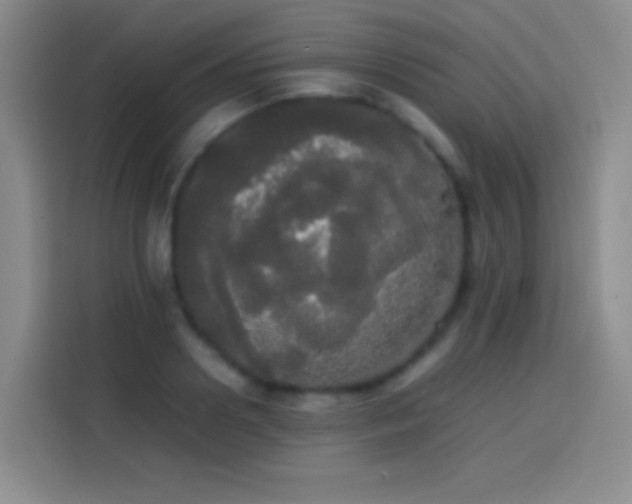 X0000113850938200910010958