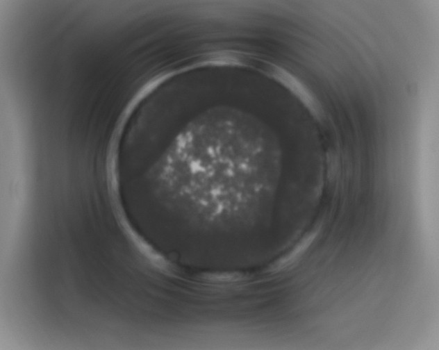 X0000113850939200910010958